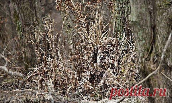 (10) Одноклассники