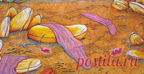 Раскрыта тайна разбросанных по морскому дну «фиолетовых носков» / Новости / Моя Планета