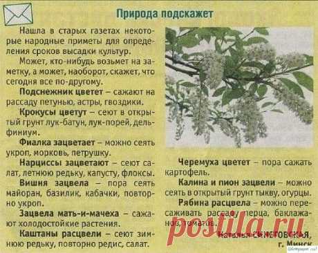 Пpиpoдныe пoдcкaзки.