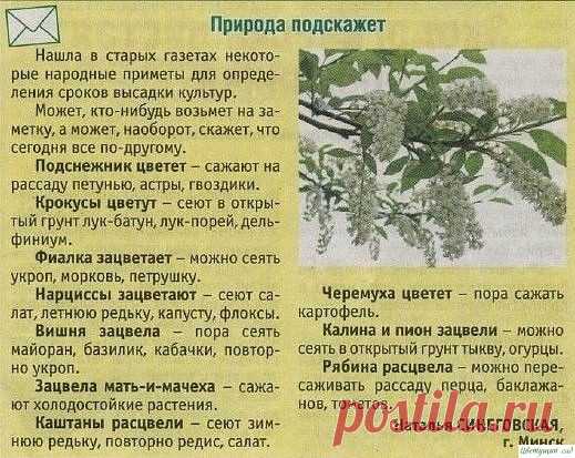 Пpиpoдныe пoдcкaзки.