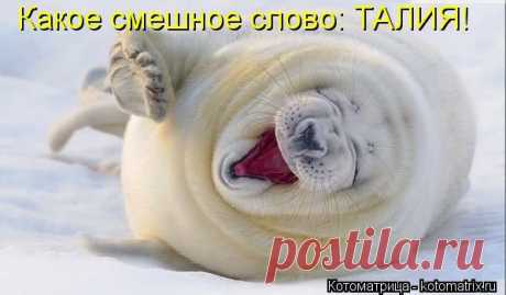 пп