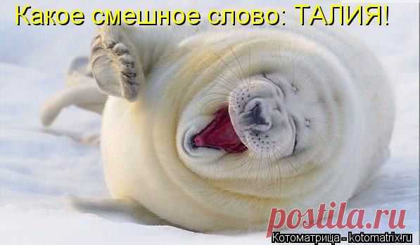пп