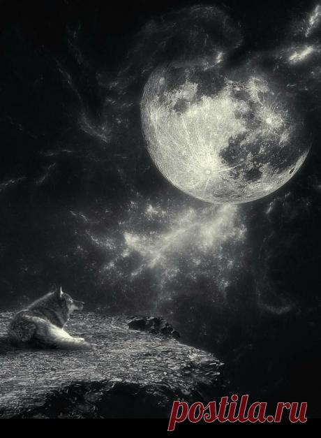 Как делают бесовский приворот. Когда речь заходит о бесовском привороте, многие представляют себе нечто из фильмов ужасов. На самом деле, это работа с особым видом энергии — мощной, но требующей точного контроля. Такой приворот отличается от обычного тем, что создает не просто чувство привязанности, а глубокую энергетическую связь, которую человек не может игнорировать.
Как это выглядит на практике? Объект воздействия начинает замечать, что мысли о заказчике становятся навязчивыми.