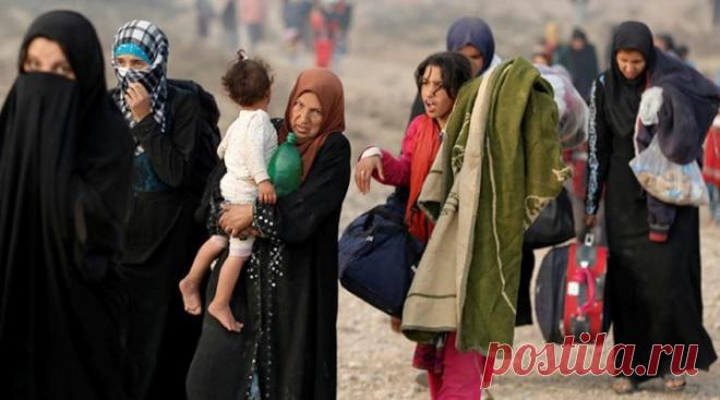 Исход из Мосула: ВОЗ спрогнозировала увеличение числа беженцев до 700 тысяч
По оценкам ВОЗ, в результате операции по освобождению Мосула, которая проходит в Ираке при поддержке западной коалиции, до 700 тысяч жителей будут вынуждены бежать из города. Представитель Всемирной организации здравоохранения в Ираке Альтаф Мусани в эксклюзивном интервью RT рассказал о тяжёлой гуманитарной ситуации в городе. Специалисты опасаются распространения инфекционных заболеваний.