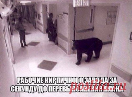 Анекдоты нон-стоп (10 шт)