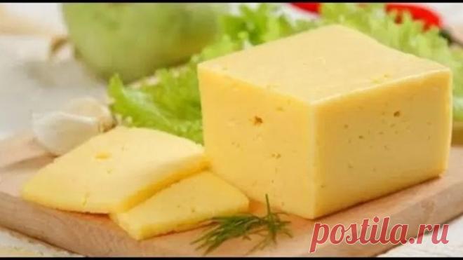 Как сделать домашний твёрдый сыр
