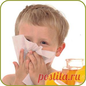Простые рецепты от насморка для взрослых и детей | Домохозяйки