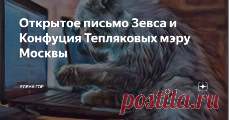 Открытое письмо Зевса и Конфуция Тепляковых мэру Москвы Уважаемый  мэр Москвы Сергей Семенович Собянин! К вам  обращаются два кота, жители  однокомнатной квартиры Евгения Теплякова. его жены Натальи и семерых котят детей  Евгения и Натальи - Зевс и Конфуций. Фамилию мы решили взять, по древней кошачей привычке, родительскую и просим впредь именовать нас Тепляковыми. В нашей маленькой, но уютной квартире находятся:  Папа Евгений (два метра ростом и полтора центнера весом), ...