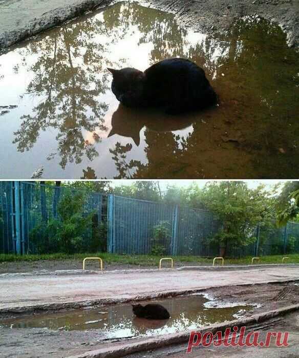 Вот как то так.