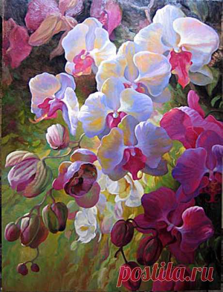 RouletteOrchidFusion.jpg (Изображение JPEG, 383 × 502 пикселов) - Масштабированное (94%)