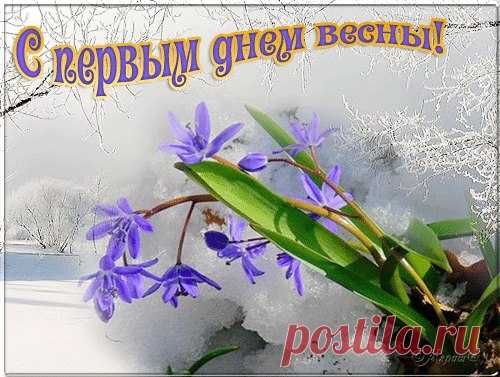 Весна!...

Доброе утро, Друзья! С началом весны Вас! Чудесного весеннего дня.
Весна идет, шагает по планете!!!Сегодня 1 марта - первый день весны!И проснётся природа, Всеми красками радуги раскрасит цветы...