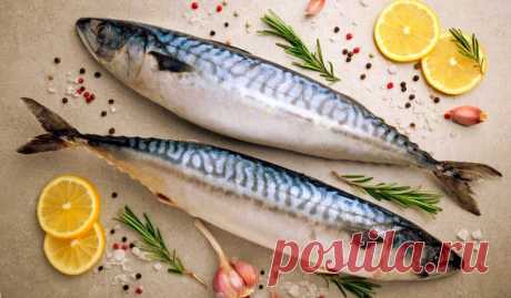 Все из скумбрии. Необычные и очень вкусные рецепты. | Правильно готовим | Яндекс Дзен