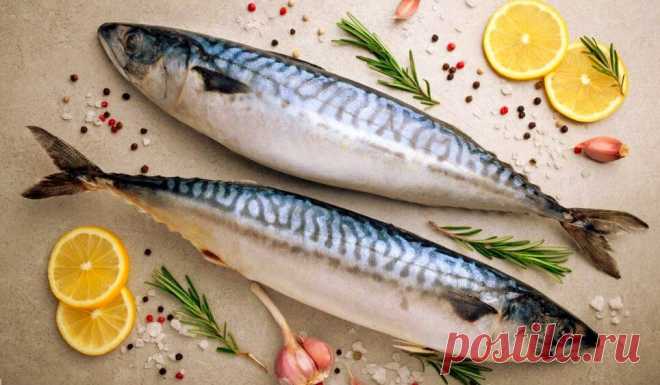 Все из скумбрии. Необычные и очень вкусные рецепты. | Правильно готовим | Яндекс Дзен