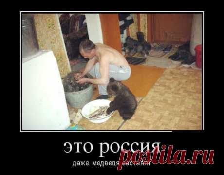 Правильный выбор! Демотиваторы