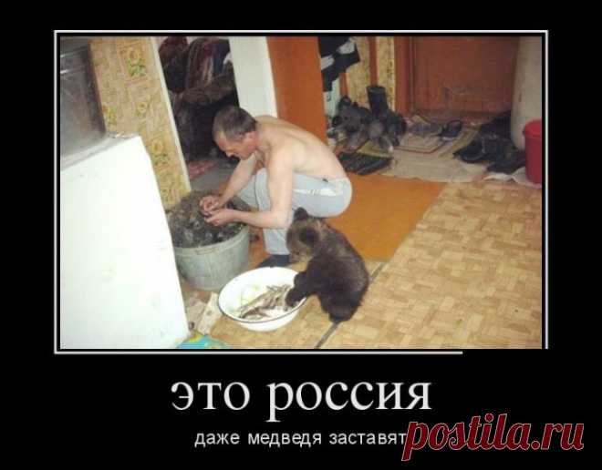 Правильный выбор! Демотиваторы