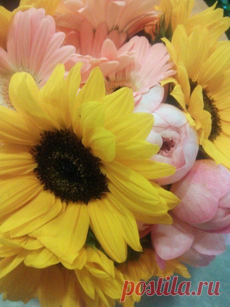 флористика