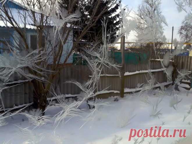 Мороз рисует...