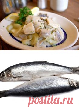 Хе из мороженой сельди / Блюда из селедки / TVCook: пошаговые рецепты с фото