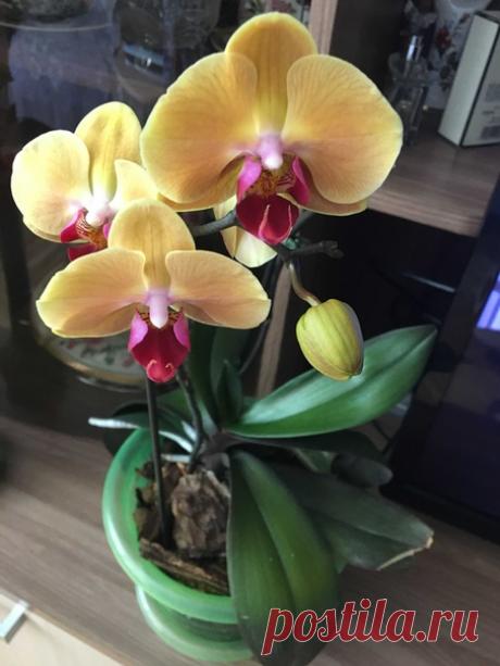 Красивый подарок.