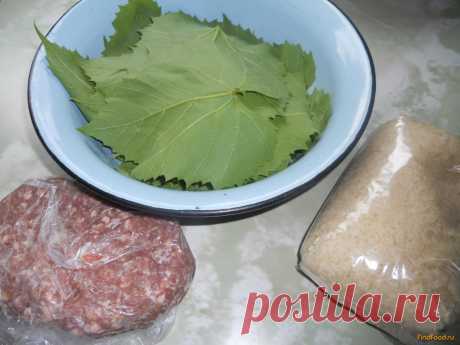 Голубцы в листьях винограда рецепт с фото, как приготовить на FindFood.ru