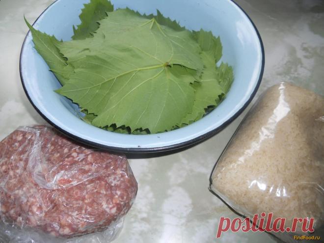 Голубцы в листьях винограда рецепт с фото, как приготовить на FindFood.ru