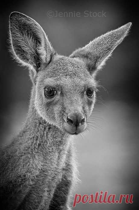 Pinterest