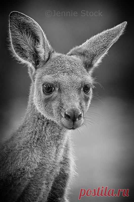 Pinterest