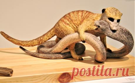 Сурикат убивает кобру.