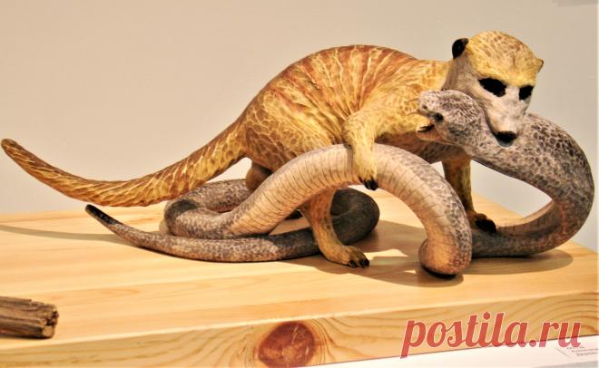 Сурикат убивает кобру.