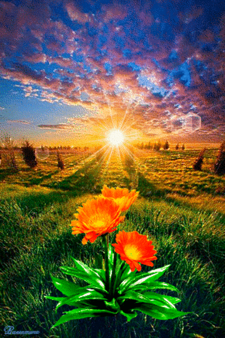 Teddys, Schönes und Altes