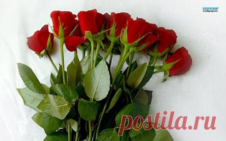 (59) Одноклассники