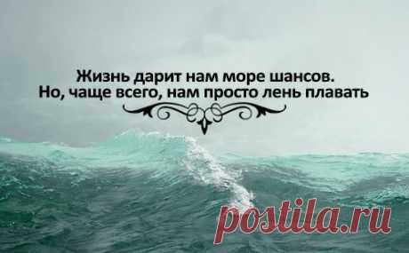 Светлана Борисова