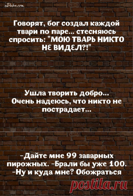 18 высказываний от мудрых женщин с юмором