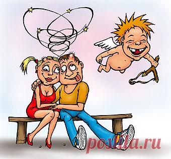 Курс молодого мужа... Улыбнемся))