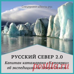 Власти Египта назвали сроки подготовки доклада по крушению A321: Катастрофы: Россия: Lenta.ru