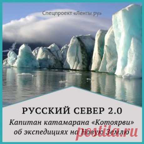 Власти Египта назвали сроки подготовки доклада по крушению A321: Катастрофы: Россия: Lenta.ru