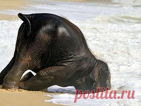 Под другим углом, или 10 шансов для 1 магазина - Ярмарка Мастеров - ручная работа, handmade