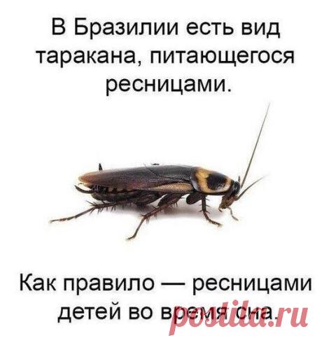 Идеи вашего дома | ВКонтакте