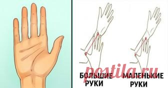 Тест: Измерьте размер своей руки. Он может многое о вас рассказать || Размер рук может рассказать многое о вашем характере. Удивлены? И напрасно, ведь это заложено наукой, а точнее нашими генами...