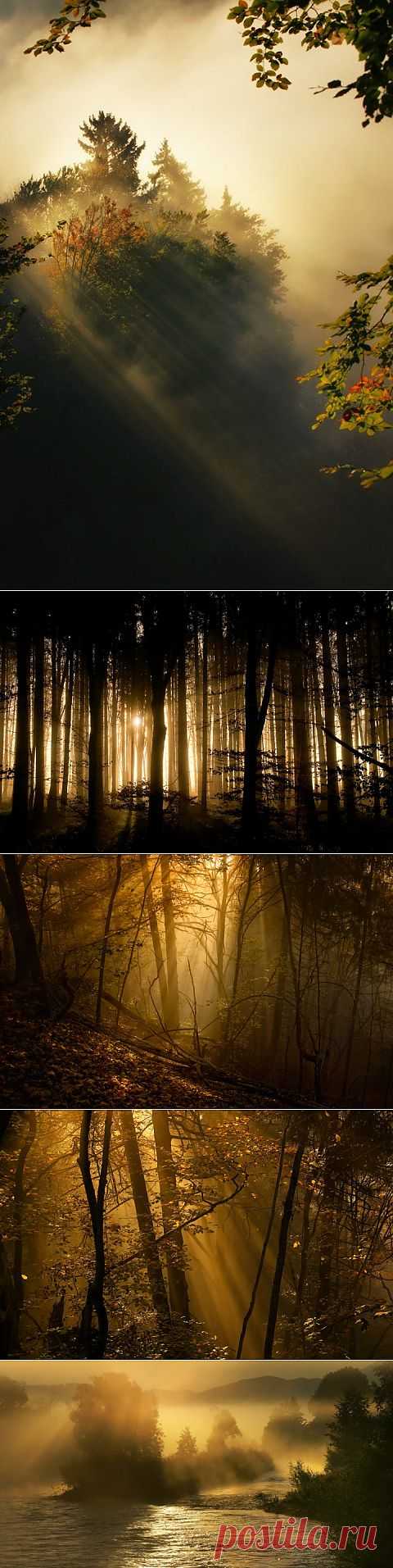 (+1) тема - Фотограф Норберт Майер | Искусство