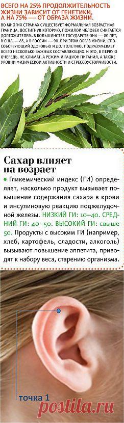 Рецепты долголетия | Похудеть – 21 век