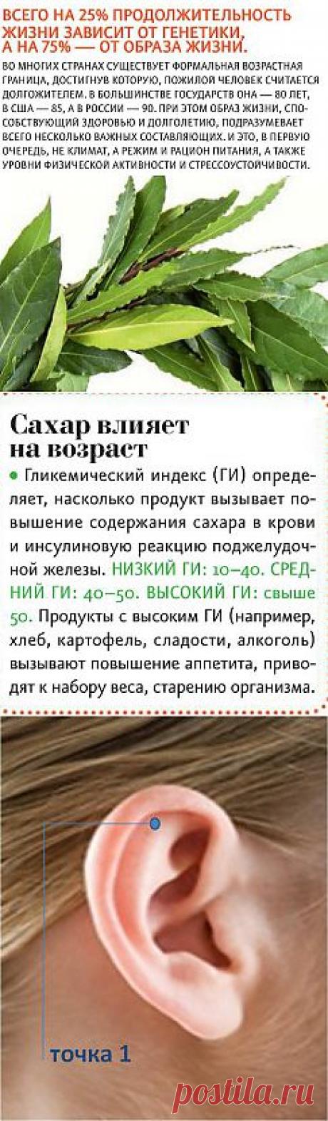 Рецепты долголетия | Похудеть – 21 век