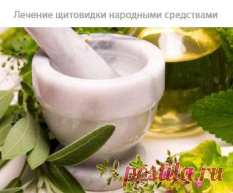 ЛУЧШИЕ РЕЦЕПТЫ НАРОДНОЙ МЕДИЦИНЫ ОТ БОЛЕЗНИ ЩИТОВИДНОЙ ЖЕЛЕЗЫ