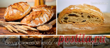 Бездрожжевой хлеб, чем полезен и вреден для организма человека Бездрожжевой хлеб на закваске, чем полезен и вреден для организма человека? Почему его стоит внести в свой рацион и диету?