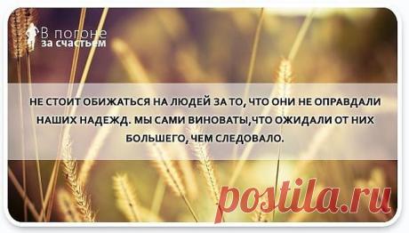 (93) Одноклассники