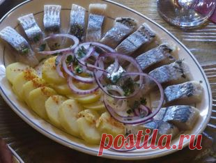Сельдь в горчичном рассоле | Рецепты | Кухня | Аргументы и Факты