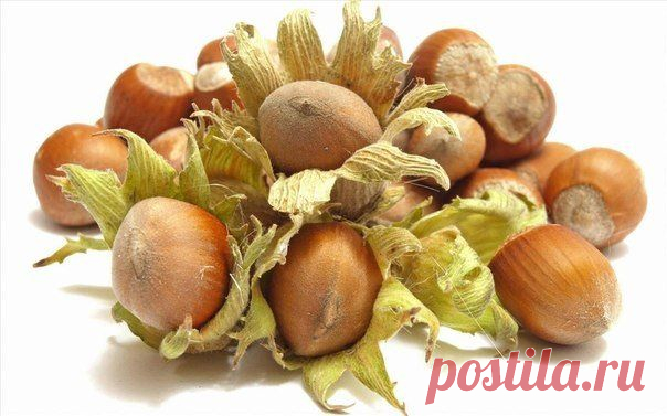 ПОЛЕЗНЫЙ И ВКУСНЫЙ ФУНДУК ДЛЯ УКРЕПЛЕНИЯ ОРГАНИЗМА.