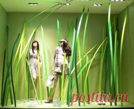 Albina приколол(а) это к доске Window shopping