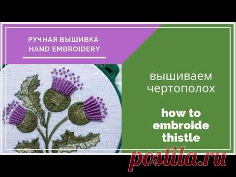 Hand embroidery| Ручная вышивка| Чертополох| Thistle| free pattern| бесплатная схема вышивки