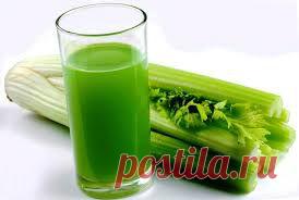 Свежевыжатый сок сельдерея |Свежевыжатый сок сельдерея содержит витамин А, аскорбиновую кислоту, витамины группы В, фолиевую кислоту, даже редкий витамин U, недостаток которого способен спровоцировать обострение гастритов и язвенной болезни, а также калий, кальций и фосфор. В сельдерее содержится примерно в четыре раза больше органического натрия, чем кальция.Сок получают из корней или стеблей сельдерея.